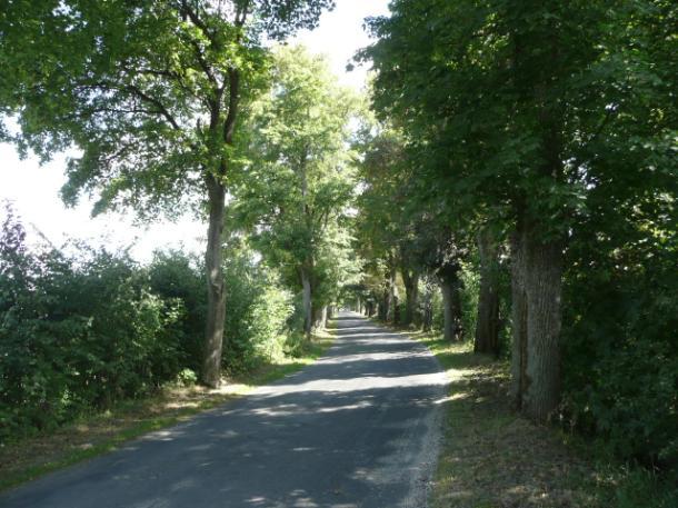 Droga nr 08 lokalizacja/ przebieg: Dzierzgoń Tywęzy-granica gminy Dane ogólne Zarząd drogi Powiatowy Zarząd Dróg Nr GPS p. 53 54 36,29 E19 20 45,12 i k.