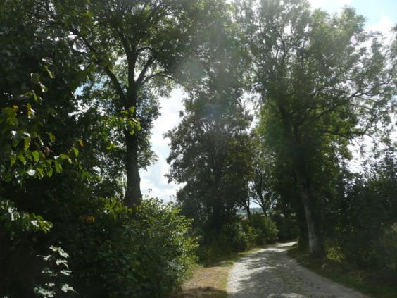 Droga nr 09 lokalizacja/ przebieg: Stara Wieś- Minięta Dane ogólne Zarząd drogi Nr GPS Długość/Nawierzchnia Gmina Dzierzgoń p.