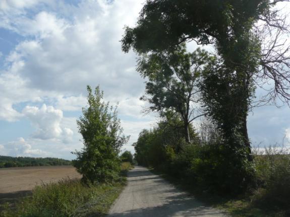 Droga nr 11 lokalizacja/ przebieg: Minięta kier. Stanowo do skrzyż. z drogą Dzierzgoń - Morany Dane ogólne Zarząd drogi Gmina Dzierzgoń Nr GPS p. N 53 41,0 E 19 40,8 i k.