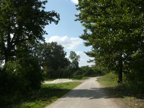 ) Drzewa za rowem Dane przyrodnicze Liczba drzew ogółem Szpaler 1 Szpaler 2 nie 44szt. 3m 4m Szpaler Gatunek i udział (szt. %) Liczba drzew 1 Tp kult 12szt. (80%); Kasz 1szt.(7%); Js 2szt.