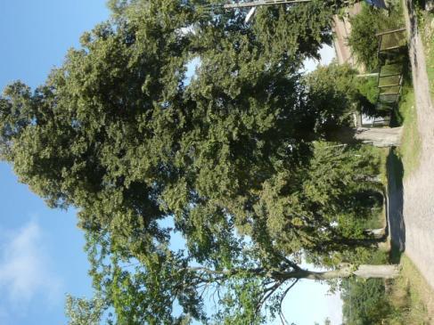 Droga nr 12 lokalizacja/ przebieg: Tywęzy - Blunaki Dane ogólne Zarząd drogi Nr GPS Długość/Nawierzchnia Powiatowy Zarząd Dróg N 53 52 41,2 E19 17 53,56 i N 53 53 5,19 E19 17 7,85 1km/bruk