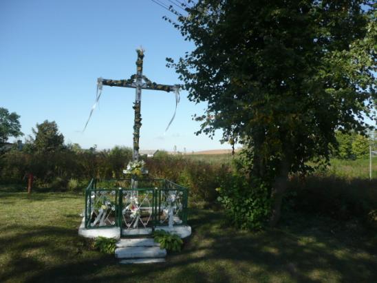 Zwarta z lukami. Stan zachowania alei Ładna aleja klonowo-lipowo-jesionowa. W lukach alejowych podrosty lip, jesionu, klona.