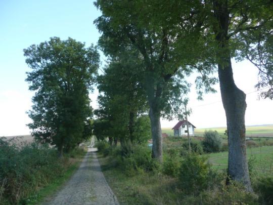 Droga nr 13 lokalizacja/ przebieg: Blunaki - Stanowo Dane ogólne Zarząd drogi Gmina Dzierzgoń /ARiMR Nr GPS p. N 53 53 5,19 E19 17 7,85 i k.