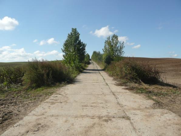 ) Drzewa za rowem Dane przyrodnicze Liczba drzew ogółem Szpaler 1 4m Szpaler 2 3,5m nie 52szt. Szpaler Gatunek i udział (szt. %) Liczba drzew 1 Js 15szt.(88%); Jw 1szt.(6%); Gb 1szt.(6%); 17szt.