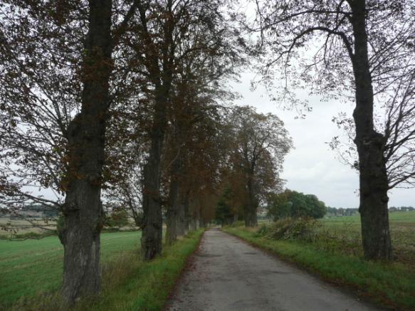 Droga nr 18 lokalizacja/ przebieg: Ankamaty - Jeziorno Dane ogólne Zarząd drogi Gmina Dzierzgoń Nr GPS p.n 53 56 3,28 E 19 17 32,8 i k.