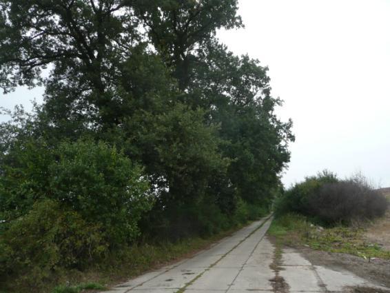 Droga nr 22 lokalizacja/ przebieg: Ramoty - Chojty Dane ogólne Zarząd drogi Nr GPS Długość/Nawierzchnia Gmina Dzierzgoń p. N 53 56 36,87 E19 14 28,55 i k.