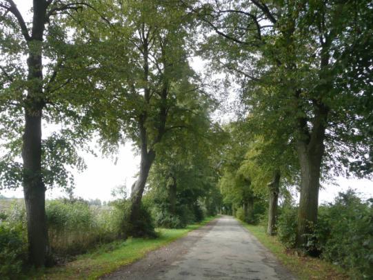 Droga nr 23 lokalizacja/ przebieg: Dzierzgoń - Stalewo Dane ogólne Zarząd drogi Powiatowy Zarząd Dróg Nr GPS p.n 53 55 51,36 E19 20 2,51 i k.