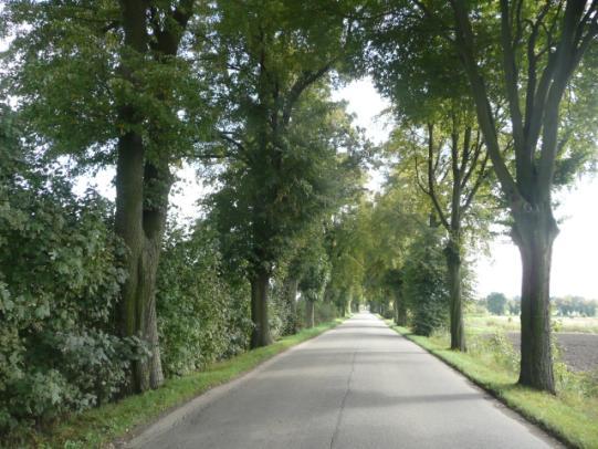 Droga nr 24 lokalizacja/ przebieg: Żuławka Sztumska do granicy gminy, kier.złotowo Dane ogólne Zarząd drogi Powiatowy Zarząd Dróg Nr GPS p.n 54 00 51,07 E 19 15 4,71 i k.