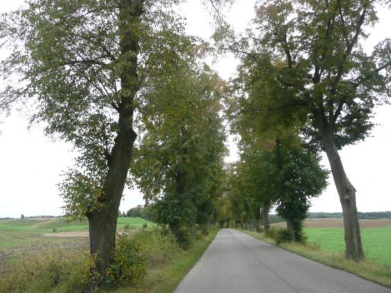 Droga nr 25 lokalizacja/ przebieg: Żuławka Sztumska - Kościelec Dane ogólne Zarząd drogi Powiatowy Zarząd Dróg Nr GPS p.n 54 00 51,07 E 19 15 4,71 i k.