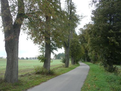 Droga nr 28 lokalizacja/ przebieg: Judyty PGR Nowiec Dane ogólne Zarząd drogi Gmina Dzierzgoń Nr GPS p.