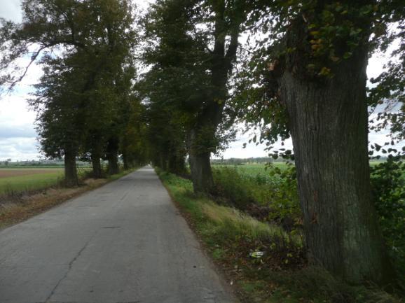 Droga nr 29 lokalizacja/ przebieg: Złotnica - Jasna Dane ogólne Zarząd drogi Powiatowy Zarząd Dróg Nr GPS p.n 54 01 34,9 E 19 18 26,83 i k.