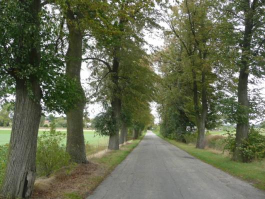 Droga nr 30 lokalizacja/ przebieg: Budzisz - Jasna Dane ogólne Zarząd drogi Powiatowy Zarząd Dróg Nr GPS p. N 53 58 56,83 ;E 19 16 14,21 i k.