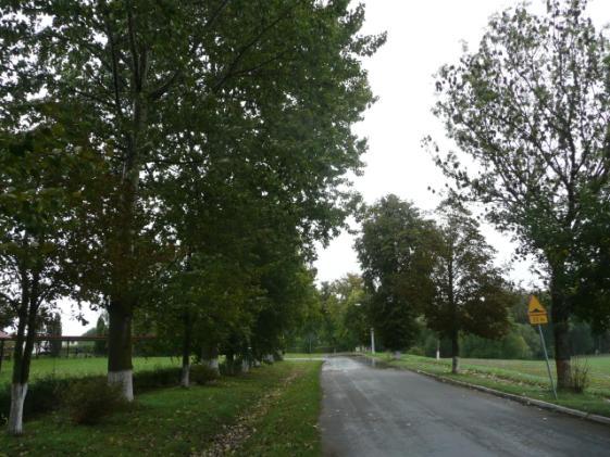 Droga nr 33 lokalizacja/ przebieg: Skrzyżowanie PGR Nowiec Dane ogólne Zarząd drogi Gmina Dzierzgoń Nr GPS p.n53 56 27,89 E19 19 57,36 i k.