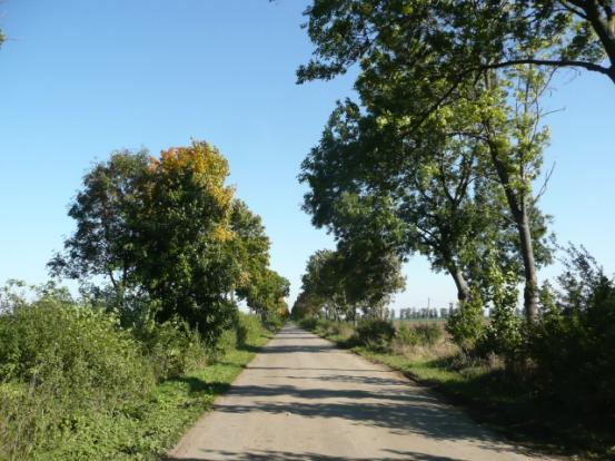 Droga nr 34 lokalizacja/ przebieg: Złotnica granica gminy(2) Dane ogólne Zarząd drogi Powiatowy Zarząd Dróg Nr GPS p.n 54 01 34,9 E 19 18 26,87 i k.