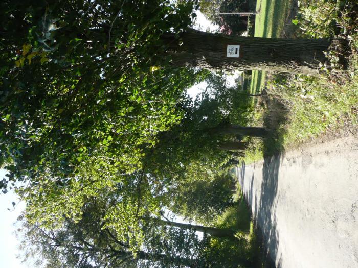 Droga nr 35 lokalizacja/ przebieg: Granica gminy Złotnica (1na mapie) Dane ogólne Zarząd drogi Powiatowy Zarząd Dróg Nr GPS p. N 54 01 39,64 E 19 19 10,88 i k.