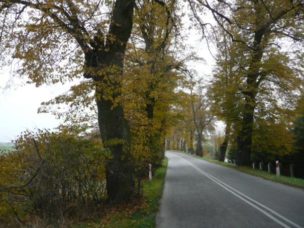 Droga nr 41 lokalizacja/ przebieg: Ramoty - Dzierzgoń Dane ogólne Zarząd drogi Wojewódzki Zarząd Dróg w Gdańsku ( DW 515) Nr GPS Długość/Nawierzchnia p.n53 56 31,1 E19 15 24,2 i k.
