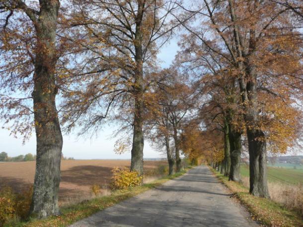 Droga nr 43 lokalizacja/ przebieg: Dzierzgoń kierunek Rychliki do granicy gminy (droga nr 527) Dane ogólne Zarząd drogi Wojewódzki Zarząd Dróg w Gdańsku (DW 527) Nr GPS