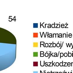 Tuchola PP Cekcyn PP Gostycyn PP Śliwice RAZEM Kradzież 4 20 0 0 24 Włamanie 7 1 3 3 14 Rozbójnicze 0