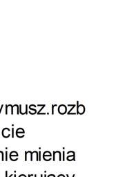 Inne kryminalne 38 6 10 0 54 Razem: 83 52 30 22 188 Ponizszy wykres ilustruje dane dotyczące