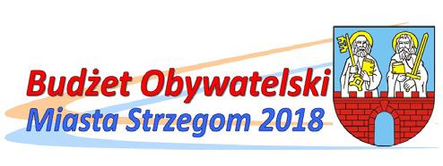 Bema 017 Przenośny system nagłośnienia przeznaczony do realizacji zadań Towarzystwa Przyjaciół