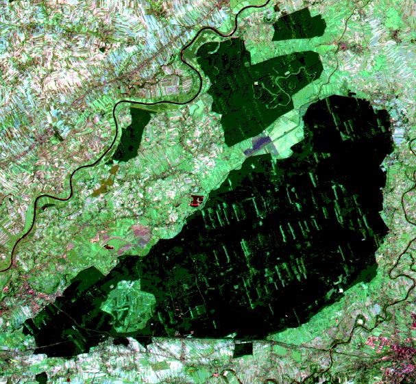 PUSZCZA NIEPOLOMICKA LANDSAT