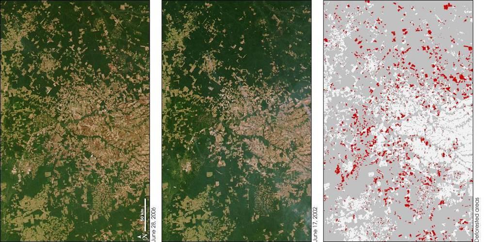 Wylesienie puszczy amazońskiej w stanie Mato Grosso w