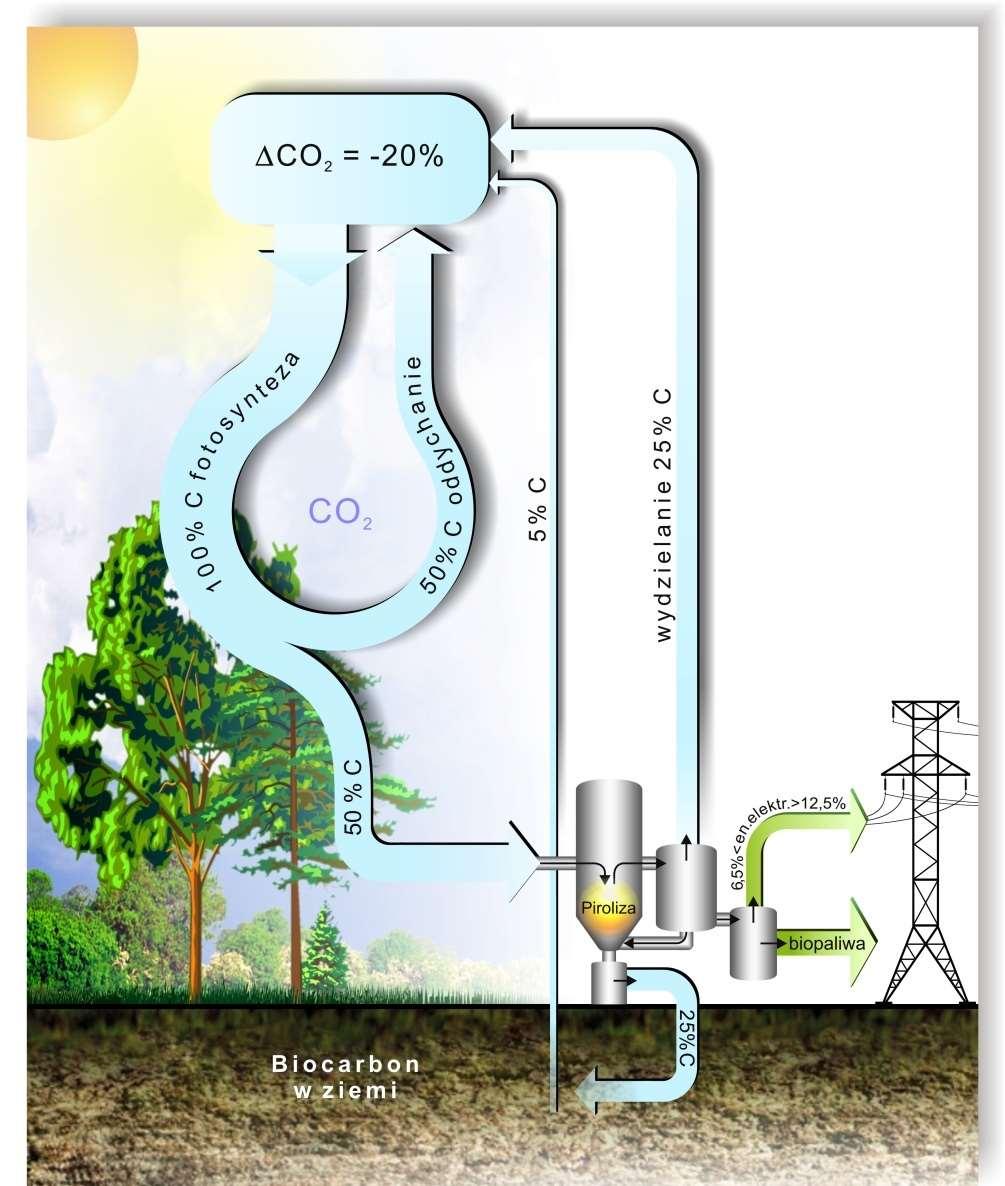 Bilans węgla w przyrodzie CCS + Energia Propozycja!