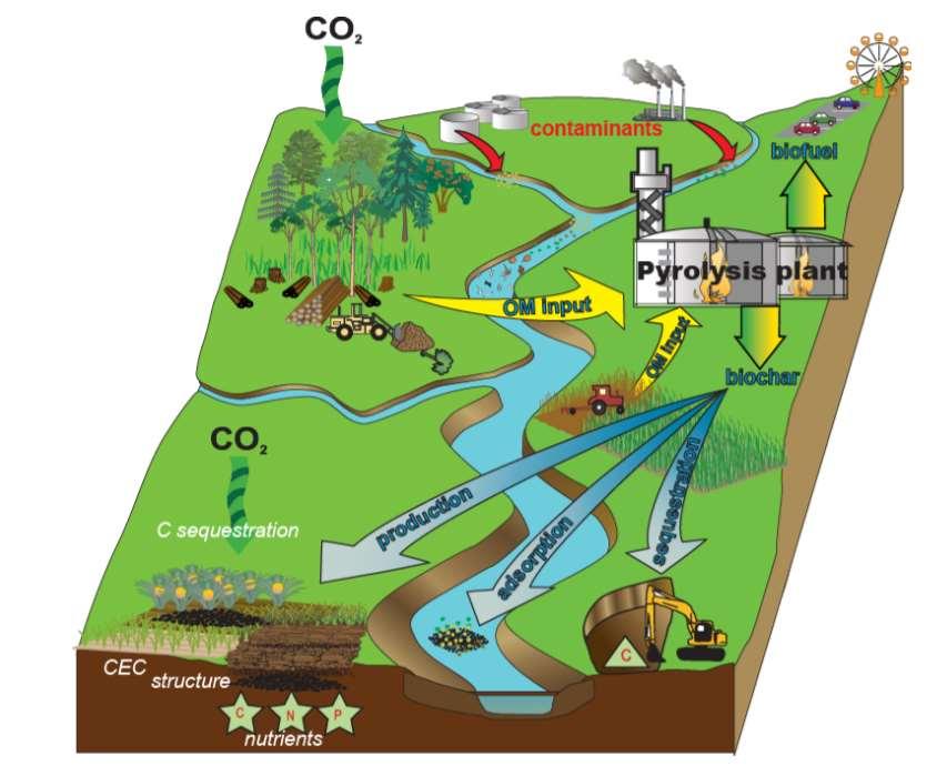 Bioregion