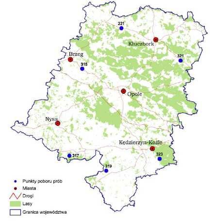Rozmieszczenie punktów pomiarowych przedstawiono na rysunku 12.