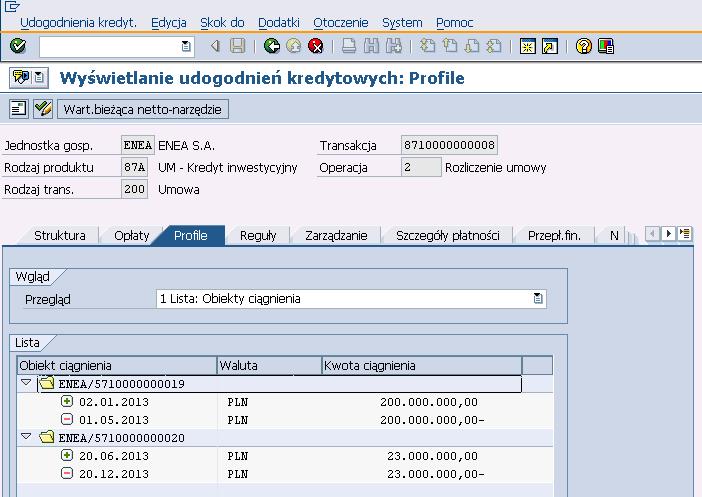 Wsparcie optymalizacji kosztów finansowych W udogodnieniu kredytowym są ewidencjonowane