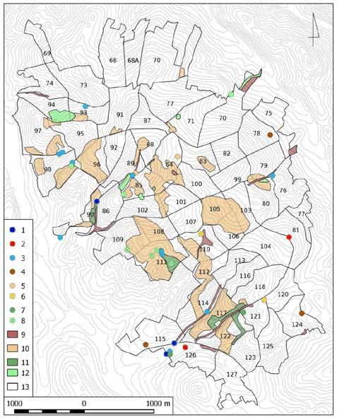70 Iwona Kuras, Krzysztof Świerkosz Ryc. 1. Rozmieszczenie zbiorowisk roślinnych Masywu Włodarza. Fig. 1. Distribution of plant communities in the Massif of Włodarz.
