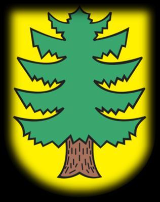 ROLA SAMORZĄDÓW W