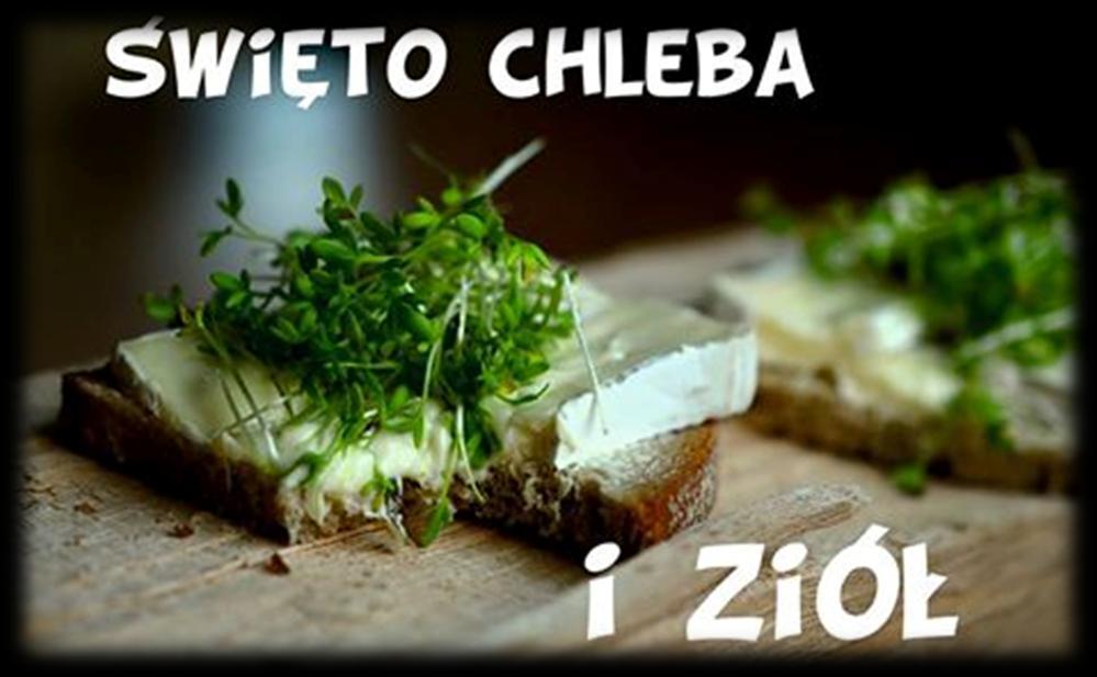 Piknik Rodzinny Święto Chleba i Ziół oraz II Zlot