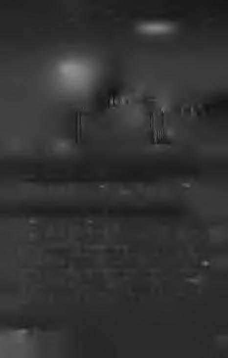 Tradycja budownictwa organowego w Toszku 1111 11 \ \./wpl III: 395Jr Hi WBfcrź w!ll H i Uli Si 9 Prospekt organów M oritza Roberta Mullera w kościele pw. św.