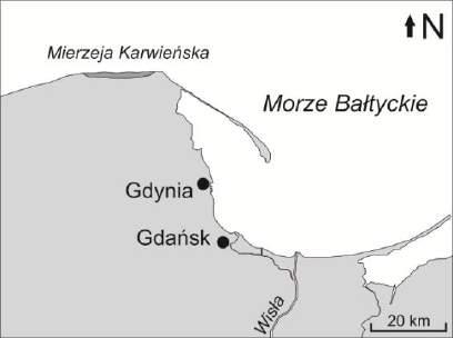 Damian Moskalewicz morskich na tereny nizinne. Zjawisko to zostało opisane w polskiej literaturze jako fala burzowa (Czekańska 1948).