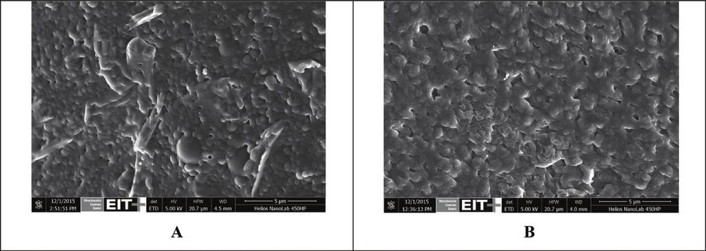 Wpływ promieniowania mikrofalowego oraz... Rysunek 3. Mikrofotografie SEM materiału hydrożelowego otrzymanego pod wpływem promieniowania: A mikrofalowego, B UV. Figure 3.