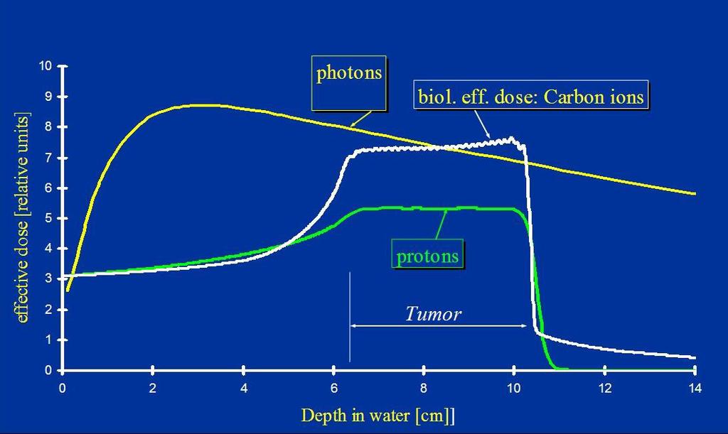 Rys.3.B.7 przedstawia zależność względnej dawki efektywnej deponowanej w wodzie w funkcji zagłębienia (depth) wyrażonej w centymetrach dla wiązki fotonów, protonów i jąder węgla.