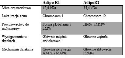 Rola adiponektyny w rozrodzie samic 419 Tabela 1. Porównanie receptorów AdipoR1 i AdipoR2. Niskocząsteczkowa frakcja (LMW, ang. low molecular weight), średniocząsteczkowa frakcja (MMW, ang.