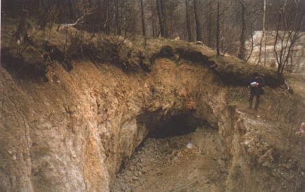 WARSZTATY 2001 nt.