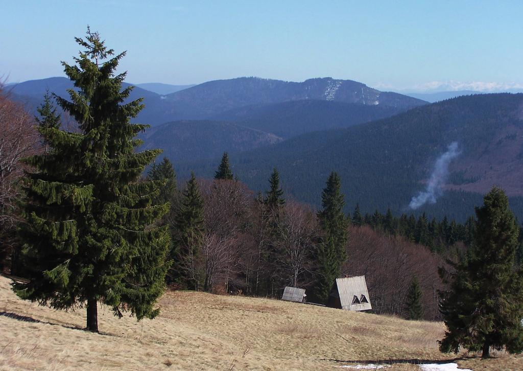 Chrońmy Przyr. Ojcz. rocznik 70, zeszyt 4, 2014 zbiorowisk roślinnych, zajmujących zwykle niewielkie powierzchnie (Bodziarczyk, Świerkosz 2004), lasy jaworowe Oszastu zasługują na szczególną uwagę.
