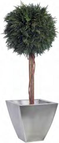 2035,- zł Thuja ball topiary 0,50/0,65 mt. BTH/0104 Green ø 0,30 mt.