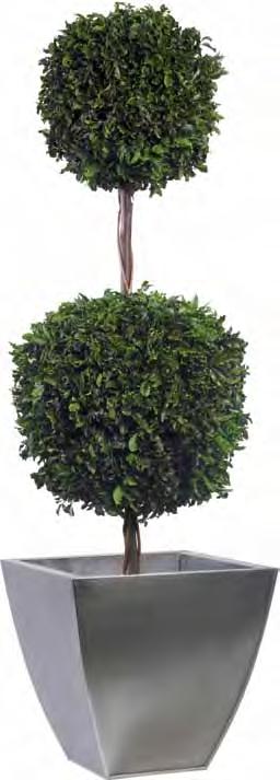 BPT/0117 Green ø 0,20/0,30/0,45 mt. Tenuifolium 2 ball Topiary 1,40 mt.