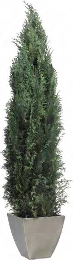 Stardust STA/0114 Green 1,40/1,60