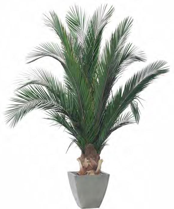 Green 1399,-
