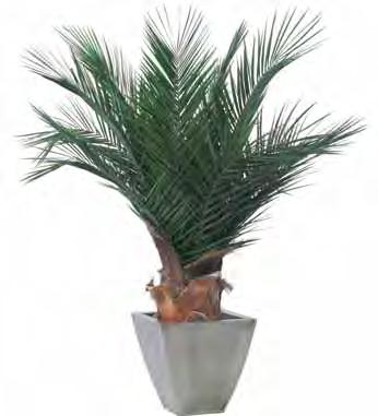 Green 1659,- 