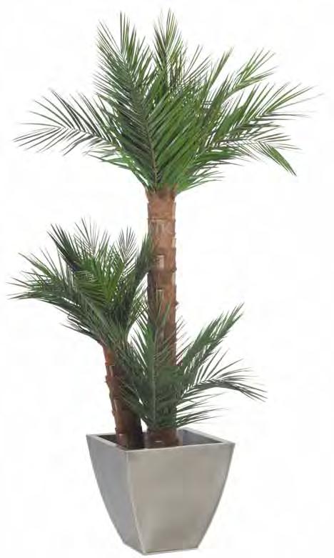 leaves KBP-GDE Green