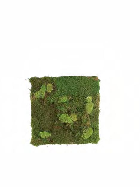 BMB-CUA Green 0,50 x