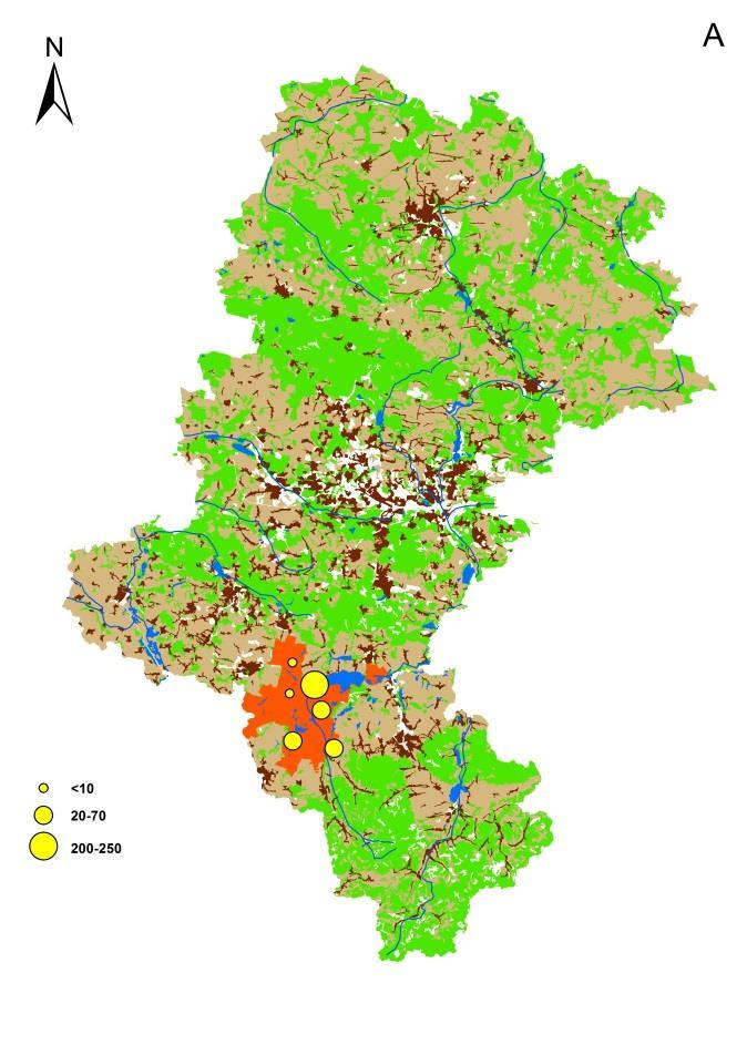 Przeciętna dobowa liczba odwiedzin ptaków na reprezentatywnych akwenach LGR Żabi