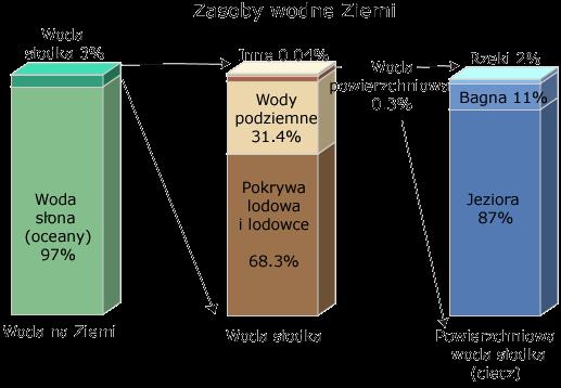 Duxbury A.C., Duxbury A.B., Sverdrup K.A., 2002 W korytach rzecznych znajduje się tylko ok.
