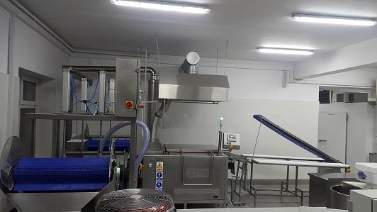górze elementy, okna i inne otwory, drzwi, powierzchnie wykorzystywane w procesie produkcji, urządzenia do czyszczenia i dezynfekcji sprzętu roboczego i wyposażenia, warunki do mycia
